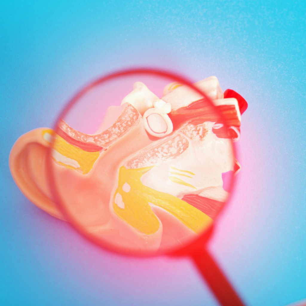 otoslerose